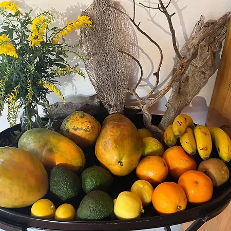 بيت للعطل Casa Barbara Puntagorda