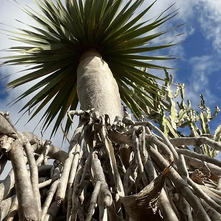 Casa Barbara Puntagorda